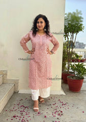 Sanya Brown Organza Jaal Chikankari Kurti