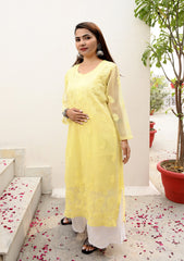 Akshara Georgette Chikankari Kurta | chikan curry kurta | lakhnavi kurti | lucknowi chikan kurti | house of chikankari