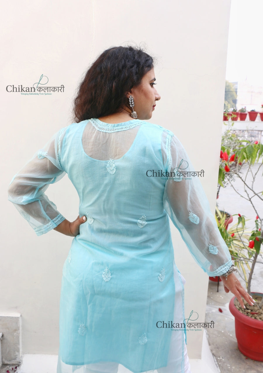 Ishika Chikan Kurta | Chikankari kurti | lucknow chikan kurta | lakhnavi kurti | chicken curry kurti | chikan kurti