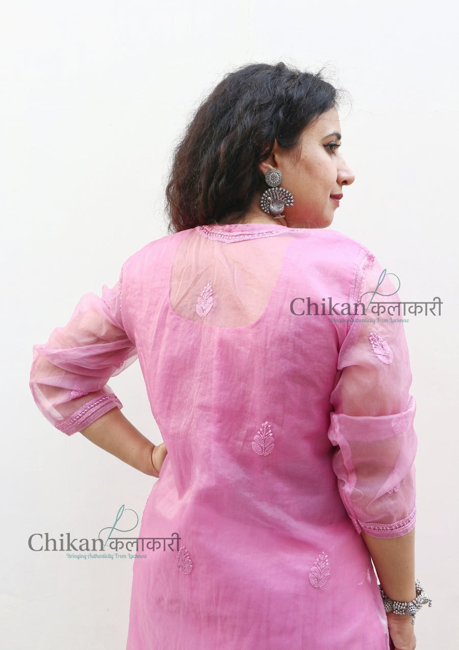 Ishika organza Chikan Kurta | Chikankari kurti | lucknowi chikan kurta | lakhnavi kurti | chicken curry kurti | lucknow kurti